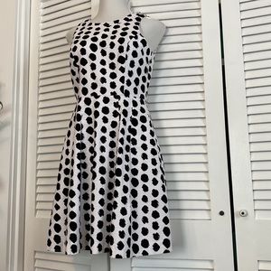 WHBM fit and flair sleeveless black dots on white classic modern vintage